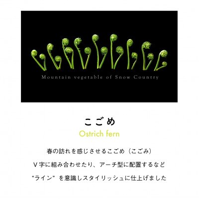 着る山菜!【こごめTシャツ・ブラック】Mサイズ