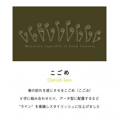 着る山菜!【こごめTシャツ・カーキ】Lサイズ