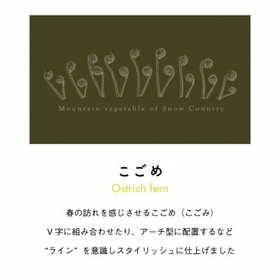 着る山菜!【こごめTシャツ・カーキ】XLサイズ