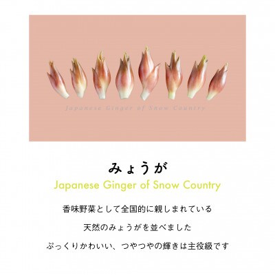 着る山菜!【みょうがTシャツ・ダスティピンク】Lサイズ