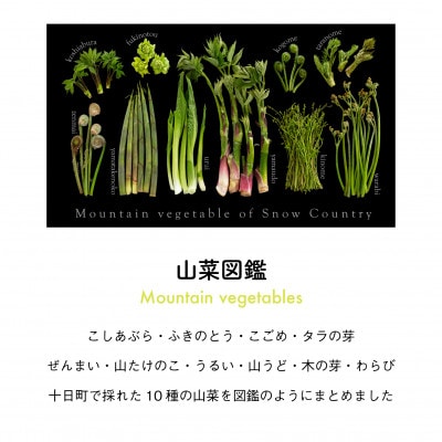 着る山菜!【山菜図鑑パーカー・ブラック】裏起毛 Sサイズ