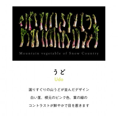 着る山菜!【うどパーカー・ブラック】裏起毛 Sサイズ