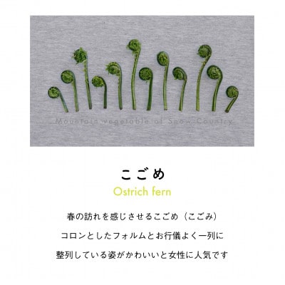 着る山菜!【こごめパーカー・アッシュ】裏起毛 Sサイズ