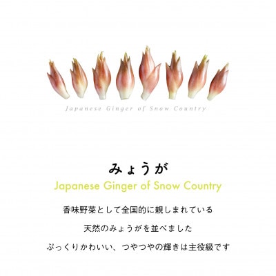 着る山菜!【みょうがパーカー・アッシュ】裏起毛 Sサイズ