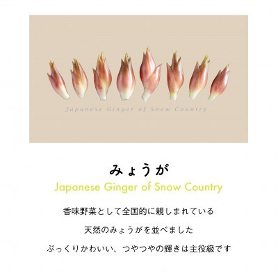 着る山菜!【みょうがパーカー・サンドベージュ】裏起毛 Sサイズ