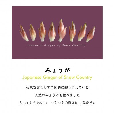 着る山菜!【みょうがビッグシルエットパーカー・メルロー】裏起毛 Mサイズ
