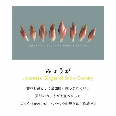 着る山菜!【みょうがビッグシルエットパーカー・スモーキーグリーン】裏起毛 Mサイズ