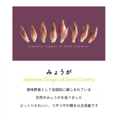 着る山菜!【みょうがビッグシルエットパーカー・メルロー】裏起毛 Lサイズ