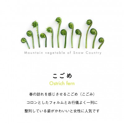 着る山菜!【こごめミニトートバッグ】