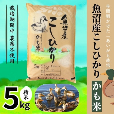 【令和7年産】魚沼産コシヒカリかも米(精米)5kg