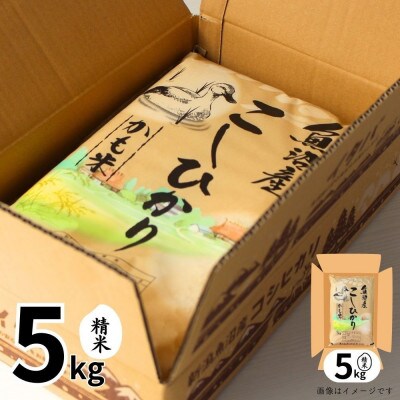 【令和7年産】魚沼産コシヒカリかも米(精米)5kg