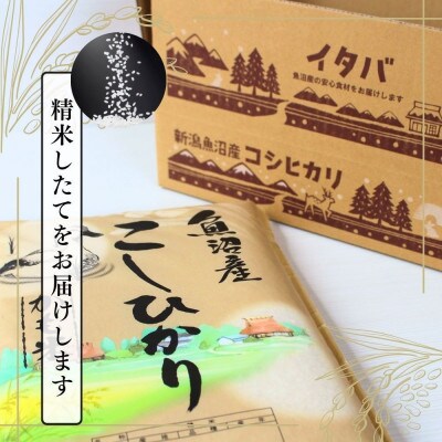 【令和7年産】魚沼産コシヒカリかも米(精米)5kg