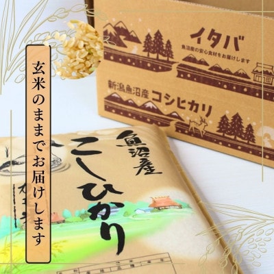 【令和7年産】魚沼産コシヒカリかも米(玄米)5kg