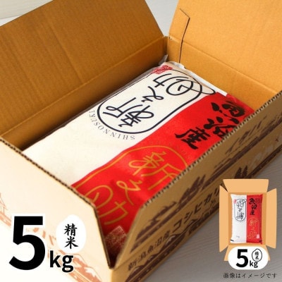 【令和6年産】魚沼産新之助(精米)5kg