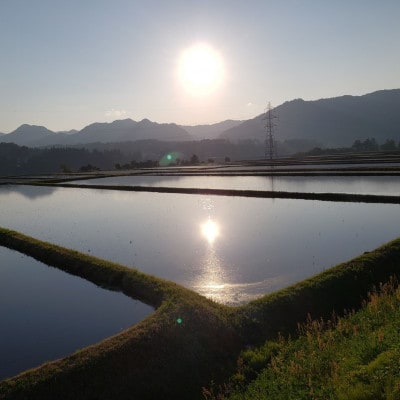 【令和6年産】魚沼産新之助(精米)5kg