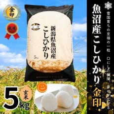 【令和6年産】魚沼産コシヒカリ金印(玄米)5kg