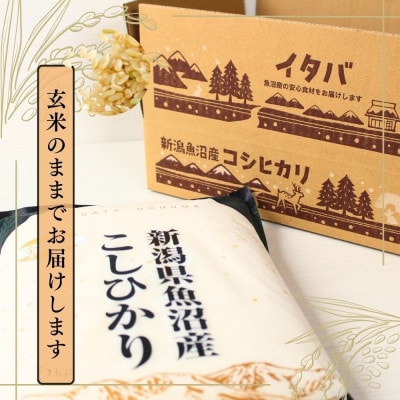 【令和6年産】魚沼産コシヒカリ金印(玄米)5kg