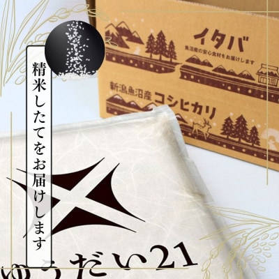 令和6年産】魚沼産ゆうだい21(精米)5kg | 新潟県十日町市
