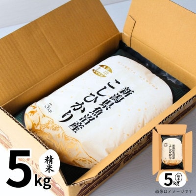 【毎月定期便】【定期便12回(毎月発送)】魚沼産コシヒカリ(金印)精米 5kg全12回