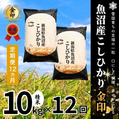 【毎月定期便】【定期便12回(毎月発送)】魚沼産コシヒカリ(金印)精米 10kg全12回