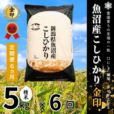 【毎月定期便】【定期便6回(毎月発送)】魚沼産コシヒカリ(金印)精米 5kg全6回