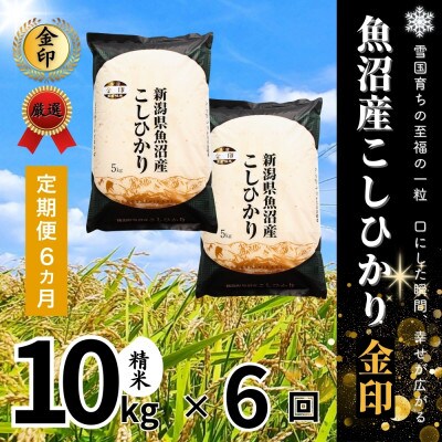 【毎月定期便】【定期便6回(毎月発送)】魚沼産コシヒカリ(金印)精米 10kg全6回