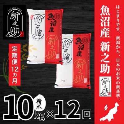 【毎月定期便】【定期便12回(毎月発送)】新之助 精米 10kg全12回