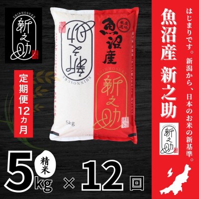 【毎月定期便】【定期便12回(毎月発送)】新之助 精米 5kg全12回