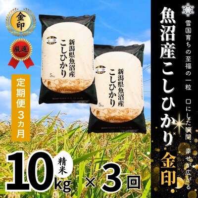 【毎月定期便】【定期便3回(毎月発送)】魚沼産コシヒカリ(金印)精米 10kg全3回