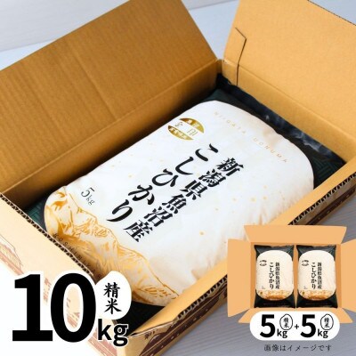 【毎月定期便】【定期便3回(毎月発送)】魚沼産コシヒカリ(金印)精米 10kg全3回
