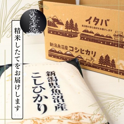 【毎月定期便】【定期便3回(毎月発送)】魚沼産コシヒカリ(金印)精米 10kg全3回