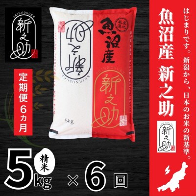 【毎月定期便】【定期便6回(毎月発送)】新之助 精米 5kg全6回
