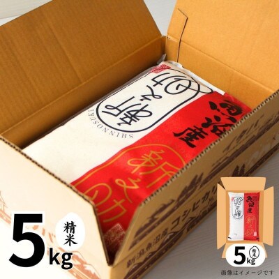【毎月定期便】【定期便6回(毎月発送)】新之助 精米 5kg全6回