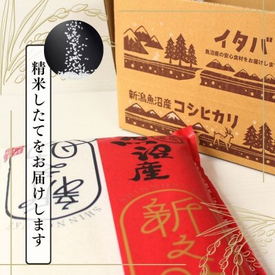 【毎月定期便】【定期便6回(毎月発送)】新之助 精米 5kg全6回