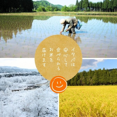 【毎月定期便】【定期便6回(毎月発送)】新之助 精米 5kg全6回