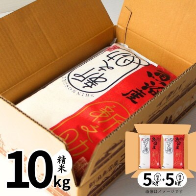 【毎月定期便】【定期便6回(毎月発送)】新之助 精米 10kg全6回