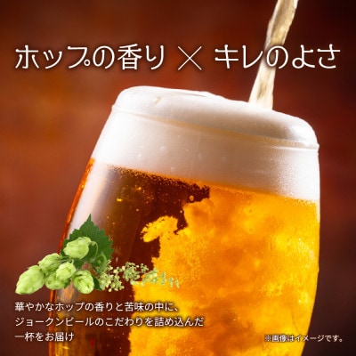 クラフトビール IPA 330ml 4本 瓶 IPA 新潟県 十日町市