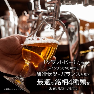 クラフトビール 4種 330ml 4本 IPA ヘイジーIPA 珈琲エール 新潟県 十日町市