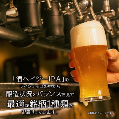 クラフトビール 酒ヘイジーIPA 330ml 4本 瓶 IPA 新潟県 十日町市