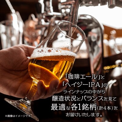 クラフトビール 2種 330ml 計4本 珈琲エール Hazy IPA 新潟県 十日町市