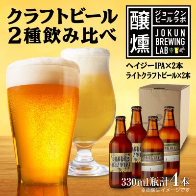 クラフトビール 2種 330ml 計4本 Hazy IPA ライトクラフトビール 新潟県 十日町市