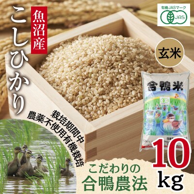【玄米】魚沼産 コシヒカリ 10kg 栽培期間中農薬不使用 あいがも農法 有機栽培米 新潟県十日町市