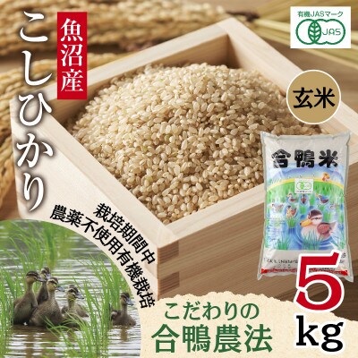 【玄米】魚沼産 コシヒカリ 5kg 栽培期間中農薬不使用 あいがも農法 有機栽培米 新潟県十日町市