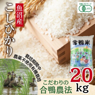 【精米】魚沼産 コシヒカリ 20kg 栽培期間中農薬不使用 あいがも農法 有機栽培米 新潟県十日町市