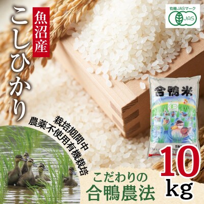 【精米】魚沼産 コシヒカリ 10kg 栽培期間中農薬不使用 あいがも農法 有機栽培米 新潟県十日町市