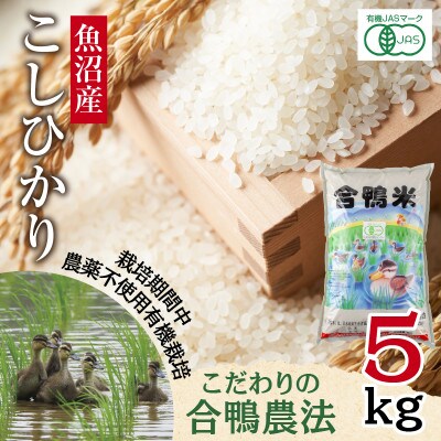 【精米】魚沼産 コシヒカリ 5kg 栽培期間中農薬不使用 あいがも農法 有機栽培米 新潟県十日町市