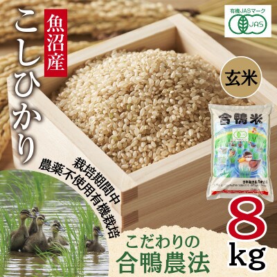 【玄米】魚沼産 コシヒカリ 8kg 栽培期間中農薬不使用 あいがも農法 有機栽培米 新潟県十日町市