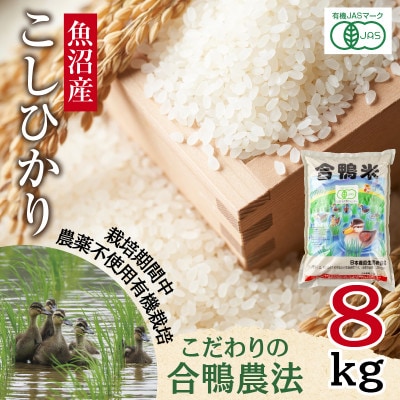 【精米】魚沼産 コシヒカリ 8kg 栽培期間中農薬不使用 あいがも農法 有機栽培米 新潟県十日町市