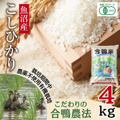 【精米】魚沼産 コシヒカリ 4kg 栽培期間中農薬不使用 あいがも農法 有機栽培米 新潟県十日町市