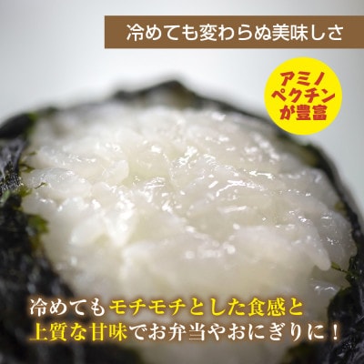 【令和7年産 新米予約】 魚沼産 川西 こしひかり 30kg 精米 新潟県産 お米 産地直送 十日町